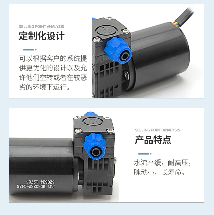 FS260-1 (13).jpg